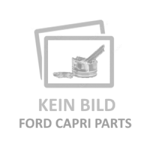 Auspuffanlage Edelstahl V6 RS 2600